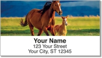 Horse Address Labels