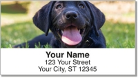 Click on Dog Portrait Address Labels For More Details