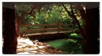 Click on Bulone Bridge Checkbook Cover For More Details