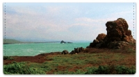 Click on Bulone Coastal Checkbook Cover For More Details