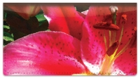 Click on Bulone Floral Checkbook Cover For More Details