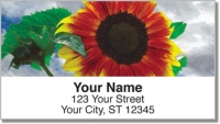 Click on Bulone Bloom Address Labels For More Details