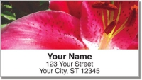 Click on Bulone Floral Address Labels For More Details