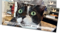 Click on Pet Cat Side Tear For More Details
