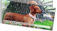 Click on Dachshund Side Tear For More Details