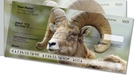 Click on Big Horn Sheep Side Tear For More Details