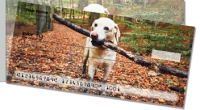 Click on Labrador Side Tear Checks For More Details