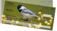 Click on Chickadee For More Details