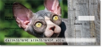 Sphynx Cats Remarkable Checks