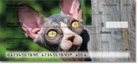 Sphynx Cats Remarkable
