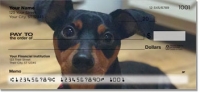 Click on Cute Cat & Dog Checks For More Details