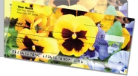 Click on Pansy  For More Details
