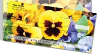 Click on Pansy For More Details
