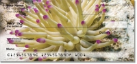 Click on Sea Anemone Checks For More Details