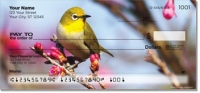 Click on Backyard Bird Checks For More Details