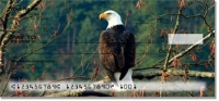 Bald Eagle Checks