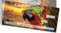 Click on Parrot Side Tear For More Details