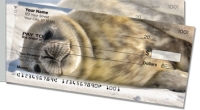 Click on Animals of Antarctica Side Tear For More Details