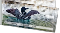 Click on Common Loon For More Details