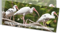 Click on White Ibis Side Tear For More Details
