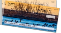 Click on Migratory Bird For More Details