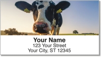 Click on Dairy Cow Address Labels For More Details