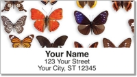 Butterfly Collection Address Labels