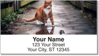 Click on Alley Cat Address Labels For More Details