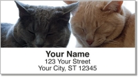 Cat Nap Address Labels