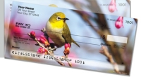 Click on Backyard Bird For More Details