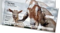 Click on Goat Side Tear For More Details