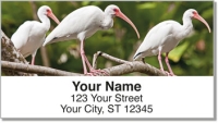 White Ibis Address Labels
