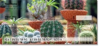 Click on Cactus Garden Checks For More Details