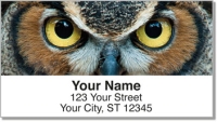 Eyes of an Owl Address Labels