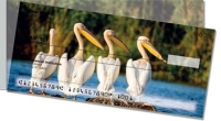 Click on Pelican Side Tear For More Details