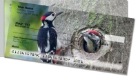 Click on Woodpecker For More Details