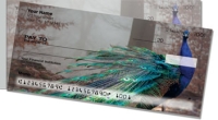 Click on Colorful Peacock Side Tear For More Details