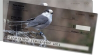 Click on Gray Jay Bird For More Details