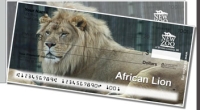 Click on NEW Zoo Favorites Side Tear For More Details