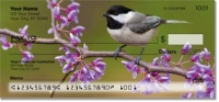 Black-Capped Chickadee Checks