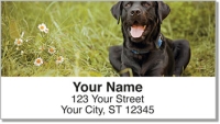 Black Lab Address Labels