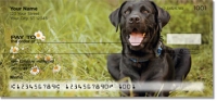 Black Lab Personal Checks