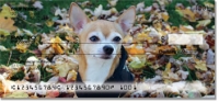 Click on Chihuahua Checks For More Details