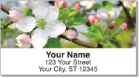 Click on Apple Blossom Address Labels For More Details