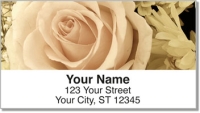 Click on Beautiful Rose Address Labels For More Details