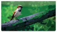 Click on Sparrow Checkbook Cover For More Details