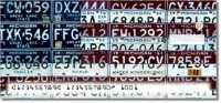 Click on Michigan License Plate Checks For More Details