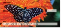 Click on Butterfly & Moth Checks For More Details