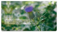 Click on Scripture & Nature Checkbook Cover For More Details