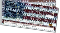 Click on Michigan License Plate Side Tear For More Details